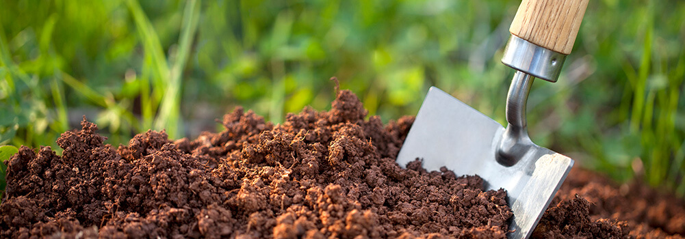 multi-purpose-compost