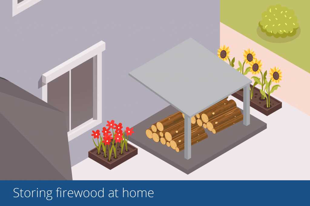 illustration storing firewood at home outside